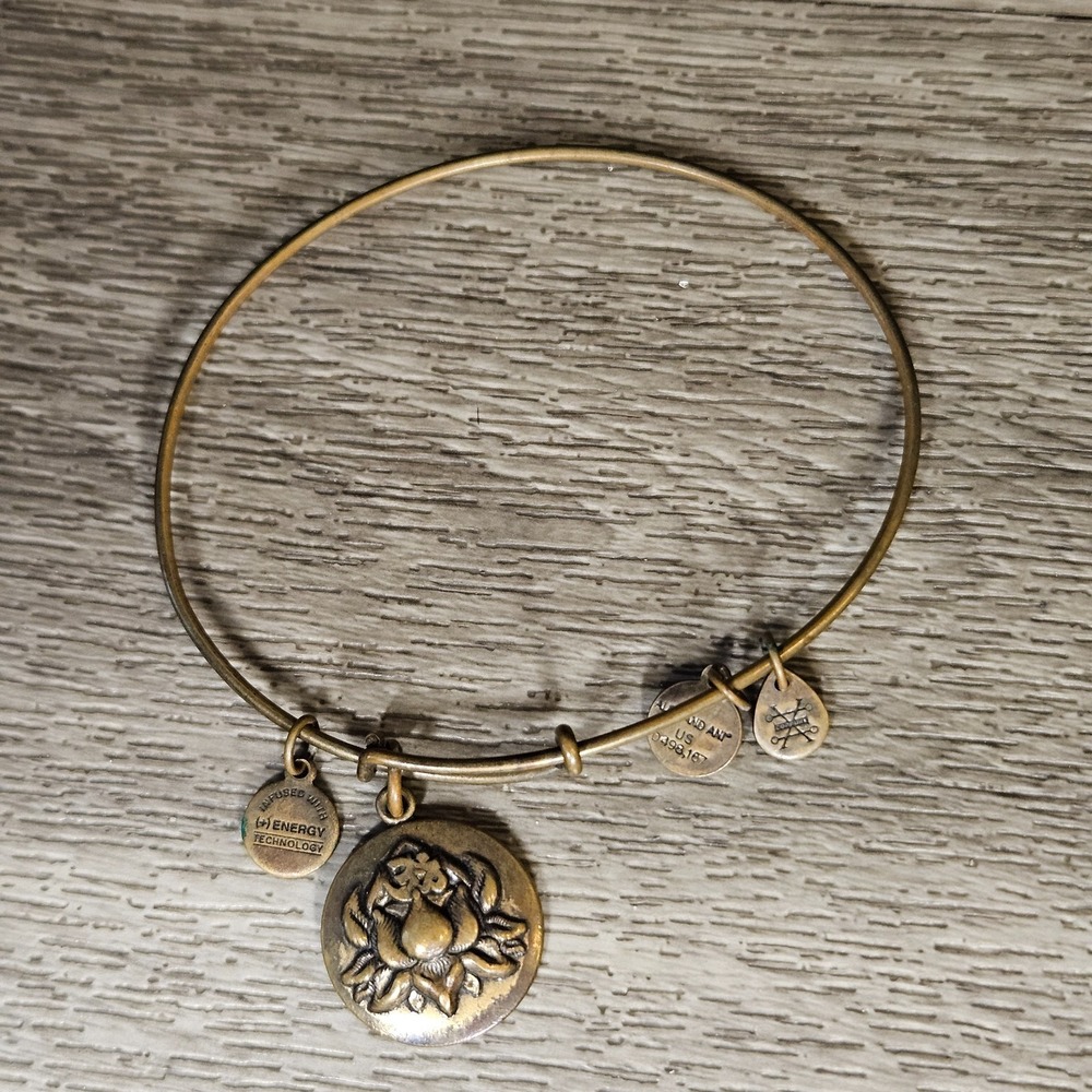 Alex And Ani Lotus Peace Petals Rafaelian Charm Bangle Bracelet